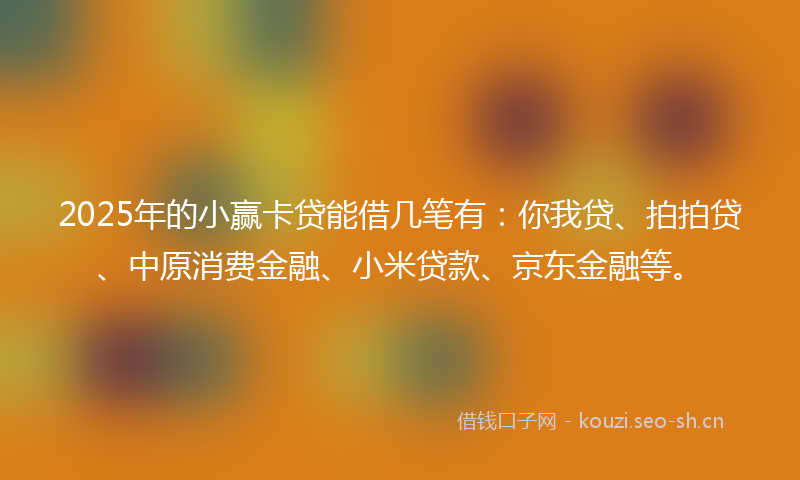 2025年的小赢卡贷能借几笔有：你我贷、拍拍贷、中原消费金融、小米贷款、京东金融等。