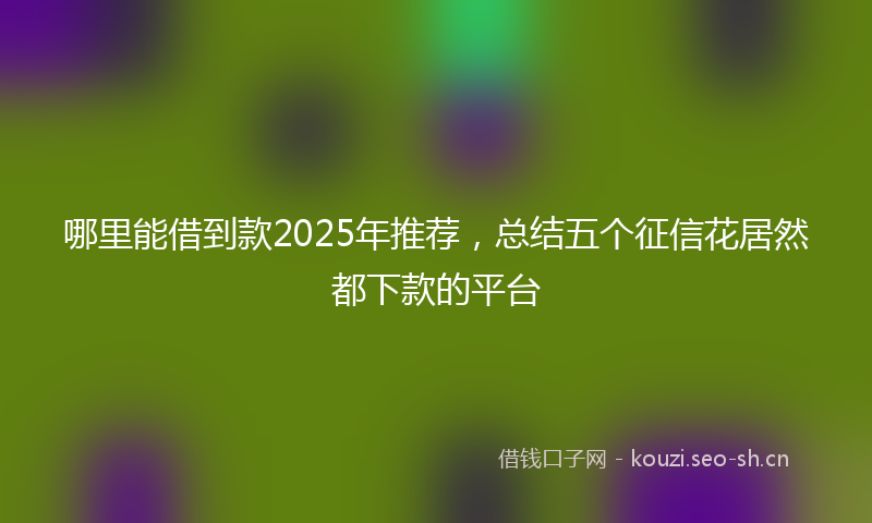 哪里能借到款2025年推荐，总结五个征信花居然都下款的平台