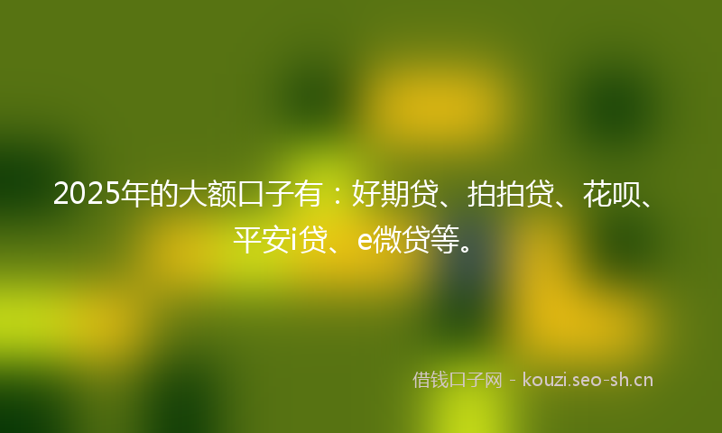 2025年的大额口子有：好期贷、拍拍贷、花呗、平安i贷、e微贷等。