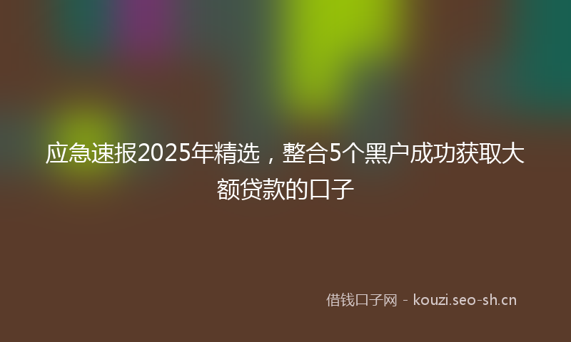 应急速报2025年精选，整合5个黑户成功获取大额贷款的口子