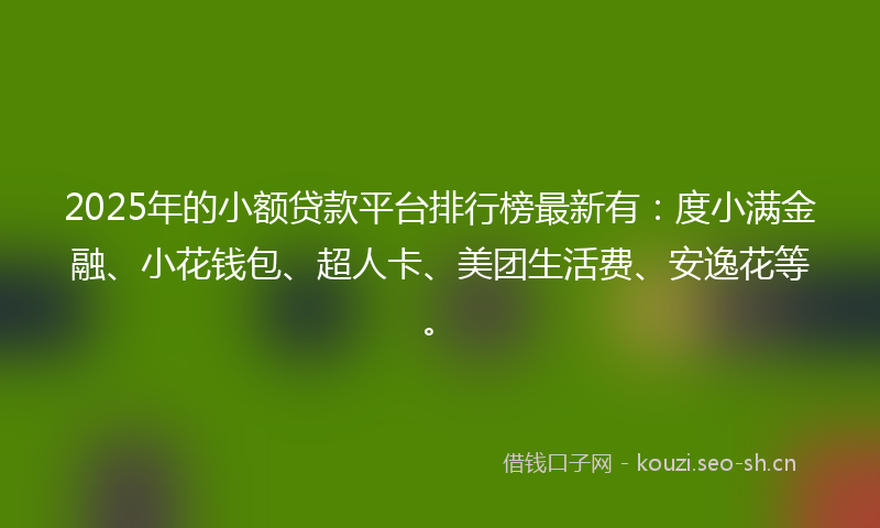 2025年的小额贷款平台排行榜最新有：度小满金融、小花钱包、超人卡、美团生活费、安逸花等。