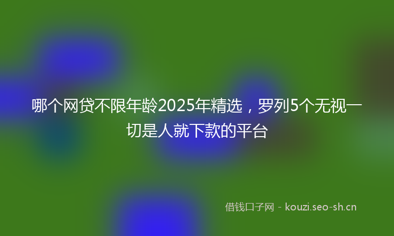 哪个网贷不限年龄2025年精选，罗列5个无视一切是人就下款的平台