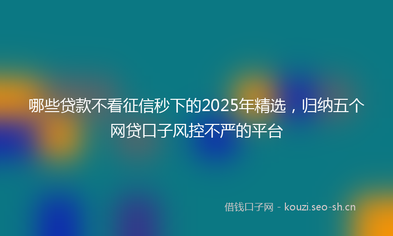 哪些贷款不看征信秒下的2025年精选，归纳五个网贷口子风控不严的平台