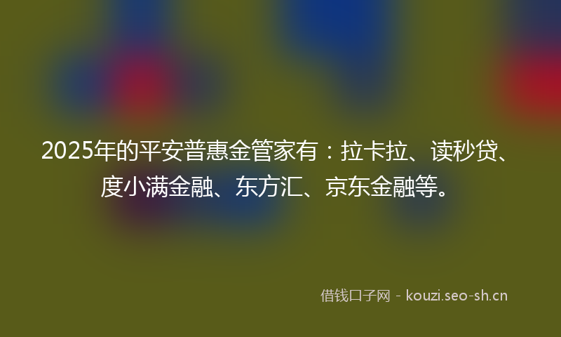 2025年的平安普惠金管家有：拉卡拉、读秒贷、度小满金融、东方汇、京东金融等。