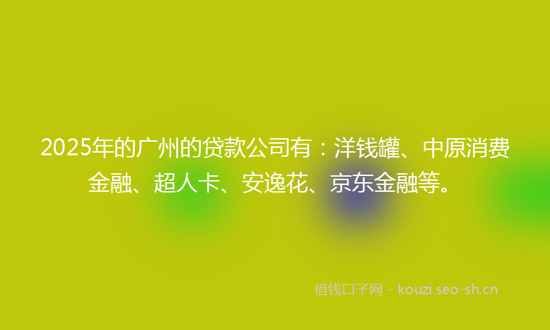 2025年的广州的贷款公司有：洋钱罐、中原消费金融、超人卡、安逸花、京东金融等。