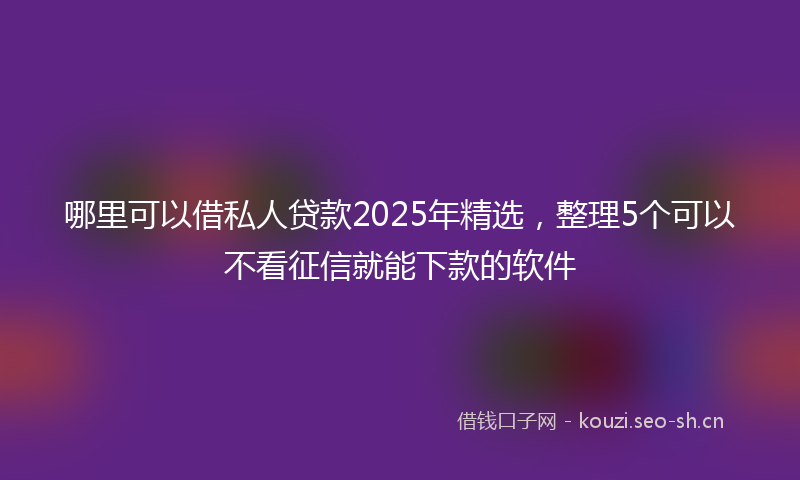 哪里可以借私人贷款2025年精选,整理5个可以不看征信就能下款的软件