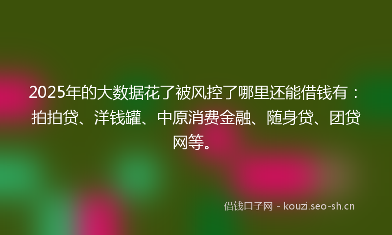 2025年的大数据花了被风控了哪里还能借钱有：拍拍贷、洋钱罐、中原消费金融、随身贷、团贷网等。
