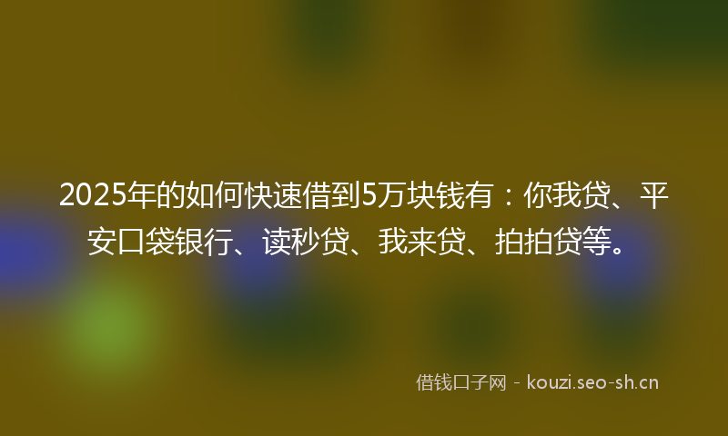 2025年的如何快速借到5万块钱有：你我贷、平安口袋银行、读秒贷、我来贷、拍拍贷等。