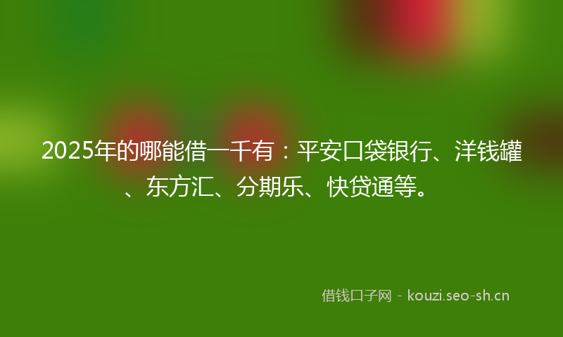 2025年的哪能借一千有：平安口袋银行、洋钱罐、东方汇、分期乐、快贷通等。