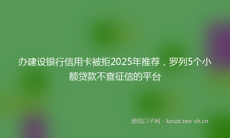 办建设银行信用卡被拒2025年推荐，罗列5个小额贷款不查征信的平台