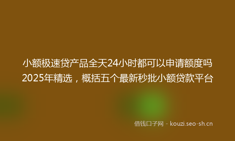 小额极速贷产品全天24小时都可以申请额度吗2025年精选，概括五个最新秒批小额贷款平台