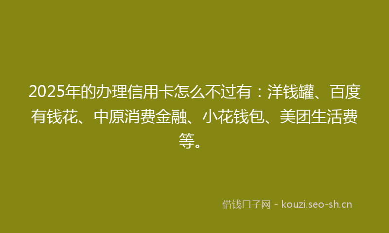 2025年的办理信用卡怎么不过有：洋钱罐、百度有钱花、中原消费金融、小花钱包、美团生活费等。