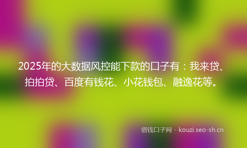 2025年的大数据风控能下款的口子有：我来贷、拍拍贷、百度有钱花、小花钱包、融逸花等。