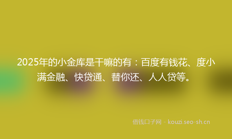 2025年的小金库是干嘛的有：百度有钱花、度小满金融、快贷通、替你还、人人贷等。