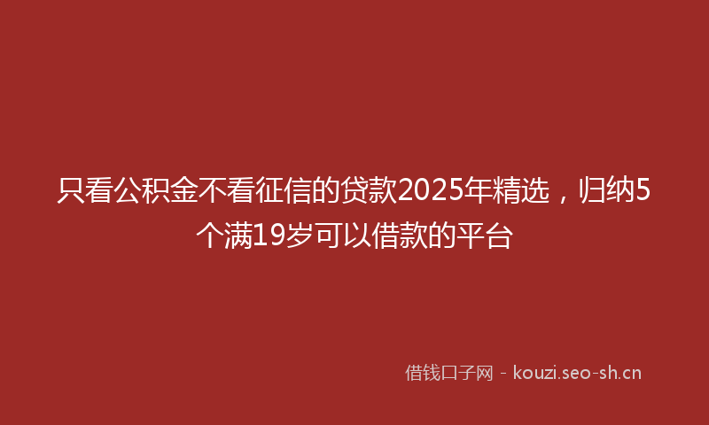 只看公积金不看征信的贷款2025年精选，归纳5个满19岁可以借款的平台