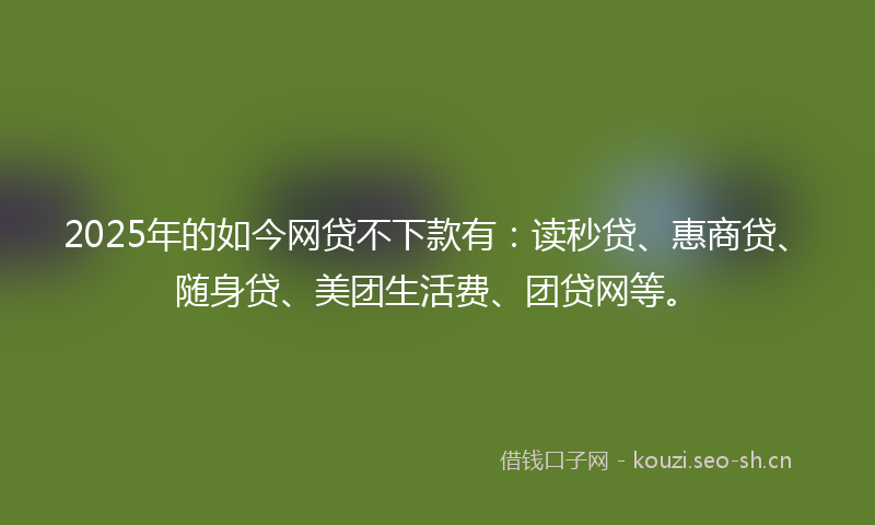 2025年的如今网贷不下款有：读秒贷、惠商贷、随身贷、美团生活费、团贷网等。