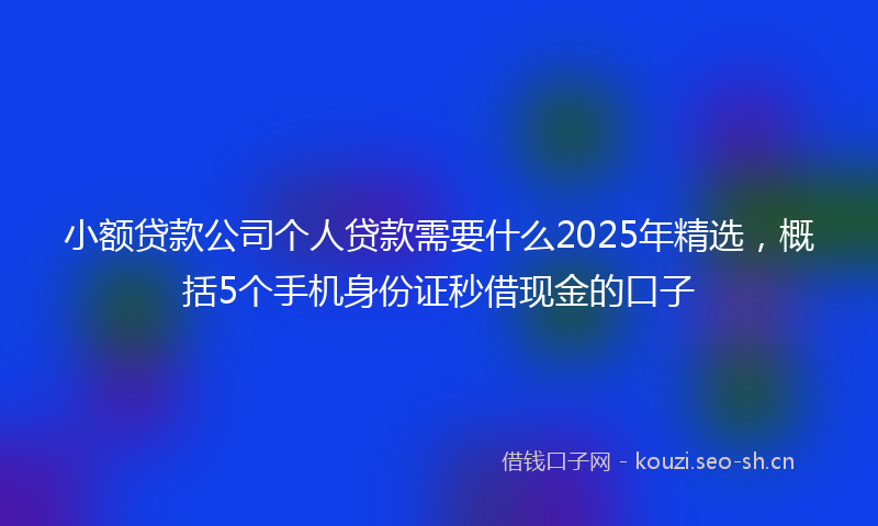 小额贷款公司个人贷款需要什么2025年精选，概括5个手机身份证秒借现金的口子