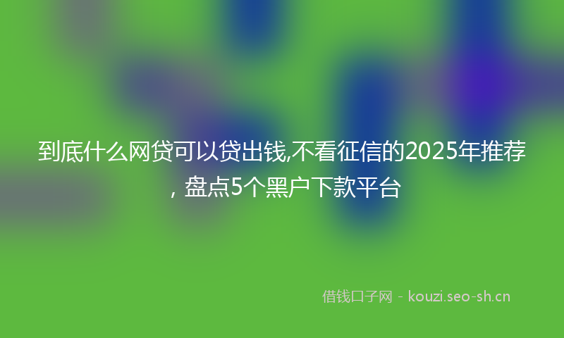 到底什么网贷可以贷出钱,不看征信的2025年推荐，盘点5个黑户下款平台