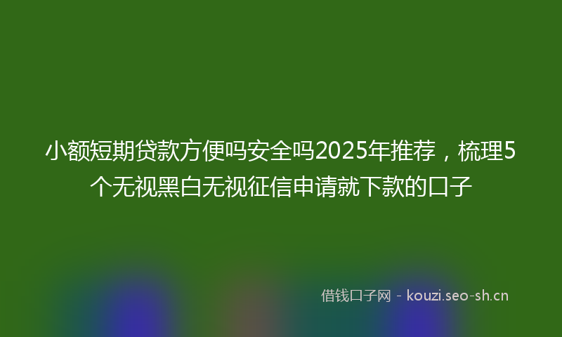 小额短期贷款方便吗安全吗2025年推荐，梳理5个无视黑白无视征信申请就下款的口子