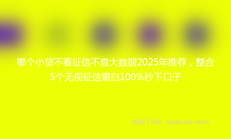 哪个小贷不看征信不查大数据2025年推荐，整合5个无视征信黑白100%秒下口子