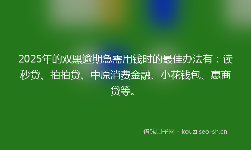 2025年的双黑逾期急需用钱时的最佳办法有:读秒贷、拍拍贷、中原消费金融、小花钱包、惠商贷等。
