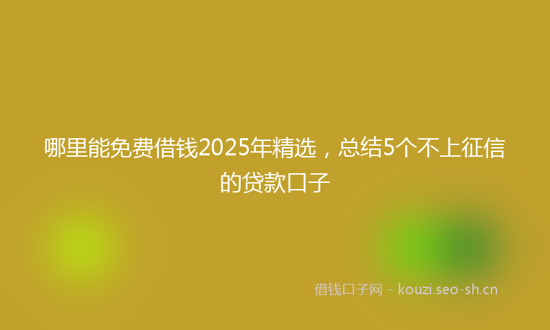 哪里能免费借钱2025年精选，总结5个不上征信的贷款口子