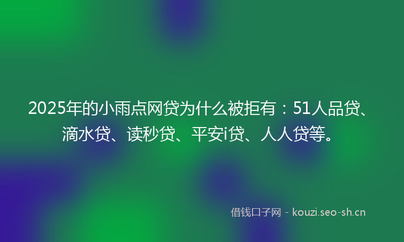 2025年的小雨点网贷为什么被拒有：51人品贷、滴水贷、读秒贷、平安i贷、人人贷等。