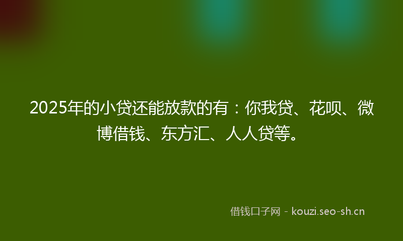 2025年的小贷还能放款的有：你我贷、花呗、微博借钱、东方汇、人人贷等。