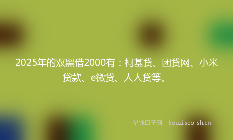 2025年的双黑借2000有:柯基贷、团贷网、小米贷款、e微贷、人人贷等。