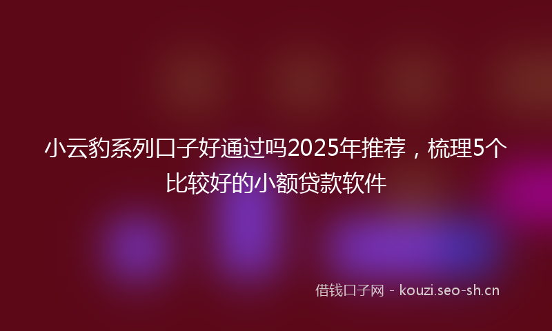 小云豹系列口子好通过吗2025年推荐，梳理5个比较好的小额贷款软件