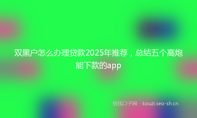 双黑户怎么办理贷款2025年推荐，总结五个高炮能下款的app