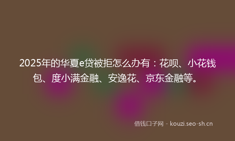 2025年的华夏e贷被拒怎么办有：花呗、小花钱包、度小满金融、安逸花、京东金融等。