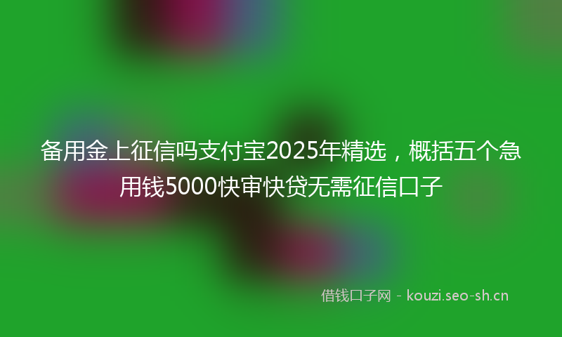 备用金上征信吗支付宝2025年精选，概括五个急用钱5000快审快贷无需征信口子