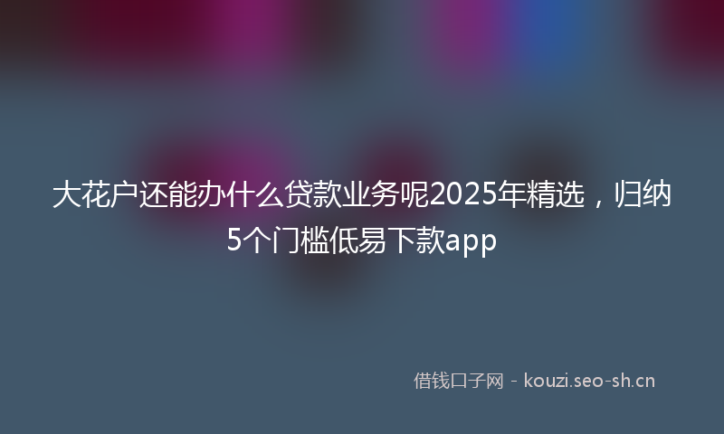 大花户还能办什么贷款业务呢2025年精选，归纳5个门槛低易下款app