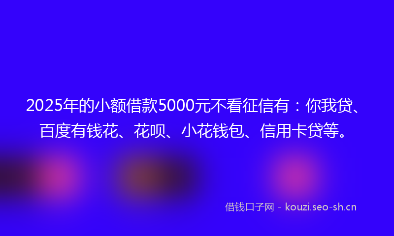 2025年的小额借款5000元不看征信有：你我贷、百度有钱花、花呗、小花钱包、信用卡贷等。
