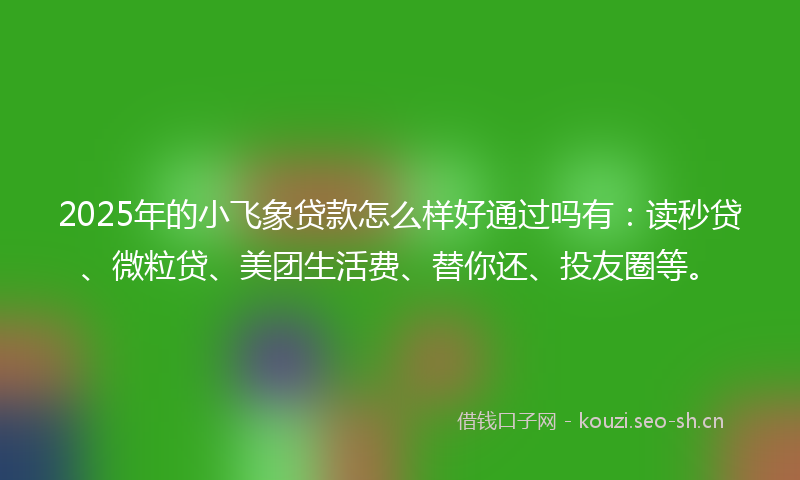 2025年的小飞象贷款怎么样好通过吗有：读秒贷、微粒贷、美团生活费、替你还、投友圈等。