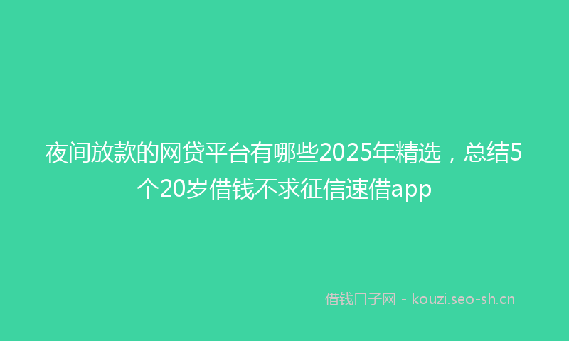 夜间放款的网贷平台有哪些2025年精选，总结5个20岁借钱不求征信速借app