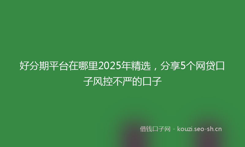好分期平台在哪里2025年精选，分享5个网贷口子风控不严的口子