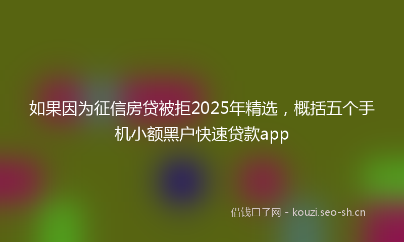 如果因为征信房贷被拒2025年精选,概括五个手机小额黑户快速贷款app