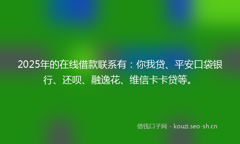 2025年的在线借款联系有：你我贷、平安口袋银行、还呗、融逸花、维信卡卡贷等。