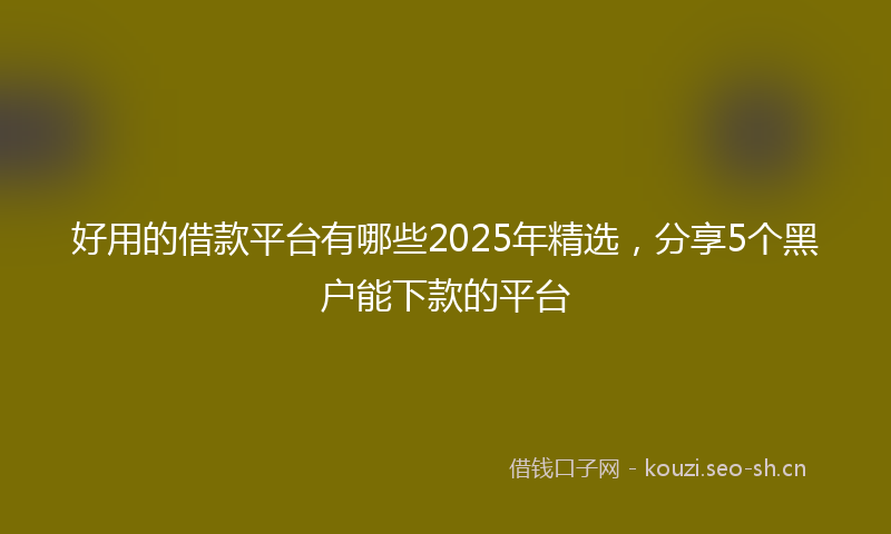 好用的借款平台有哪些2025年精选，分享5个黑户能下款的平台