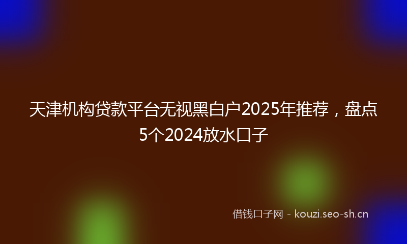 天津机构贷款平台无视黑白户2025年推荐，盘点5个2024放水口子