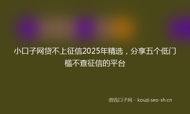 小口子网贷不上征信2025年精选，分享五个低门槛不查征信的平台