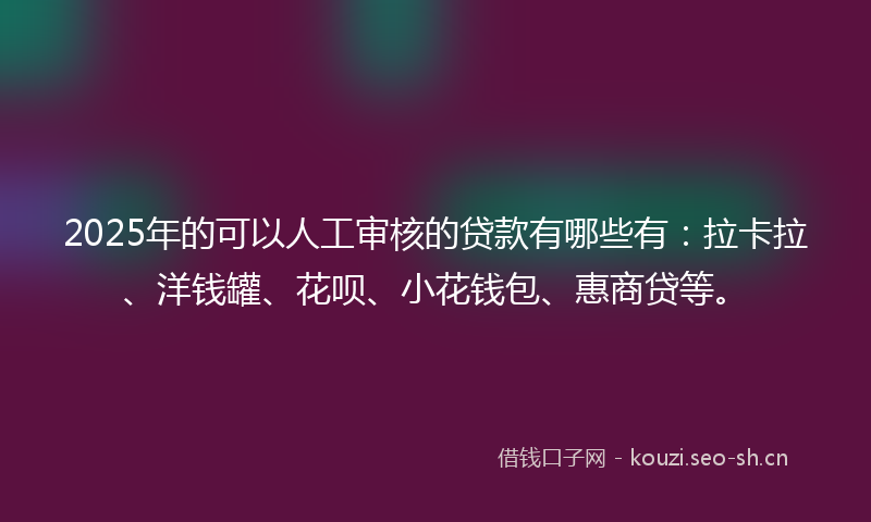 2025年的可以人工审核的贷款有哪些有：拉卡拉、洋钱罐、花呗、小花钱包、惠商贷等。