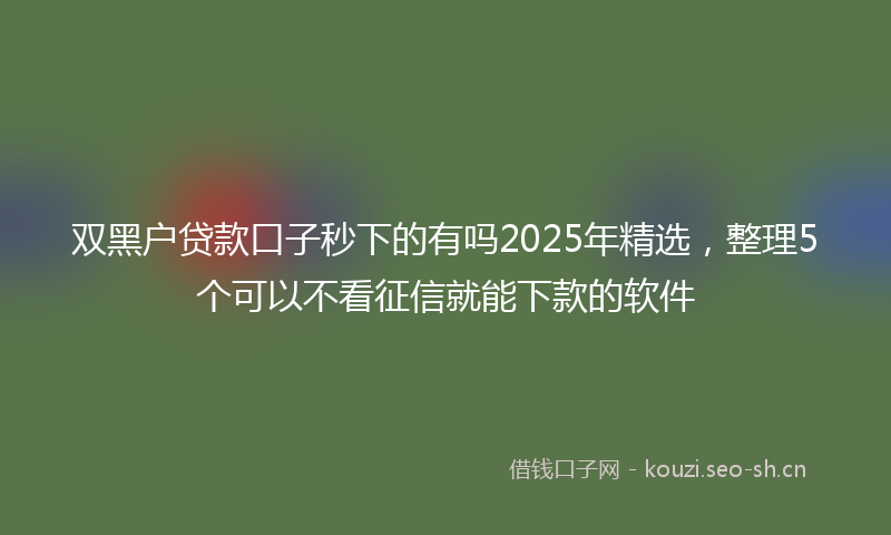 双黑户贷款口子秒下的有吗2025年精选，整理5个可以不看征信就能下款的软件