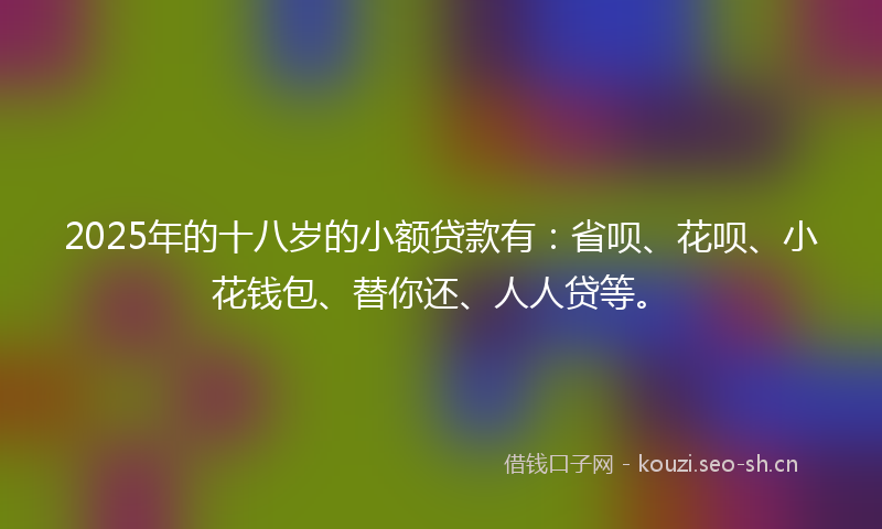 2025年的十八岁的小额贷款有：省呗、花呗、小花钱包、替你还、人人贷等。