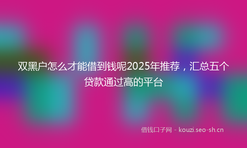 双黑户怎么才能借到钱呢2025年推荐，汇总五个贷款通过高的平台