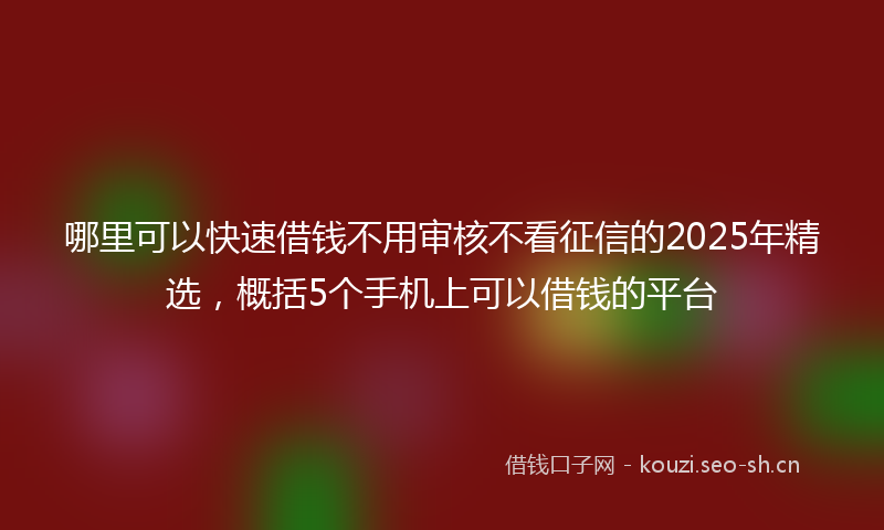 哪里可以快速借钱不用审核不看征信的2025年精选，概括5个手机上可以借钱的平台