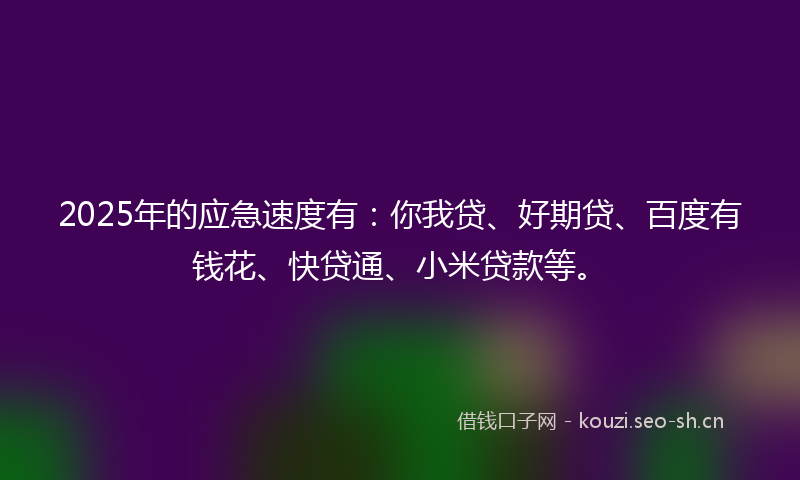2025年的应急速度有：你我贷、好期贷、百度有钱花、快贷通、小米贷款等。