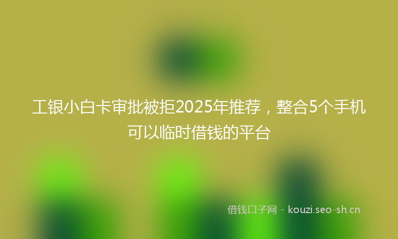 工银小白卡审批被拒2025年推荐，整合5个手机可以临时借钱的平台